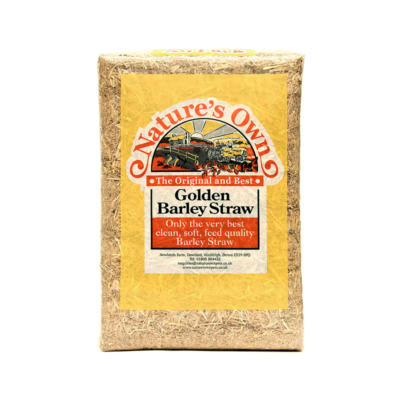 Golden Barley Straw XL