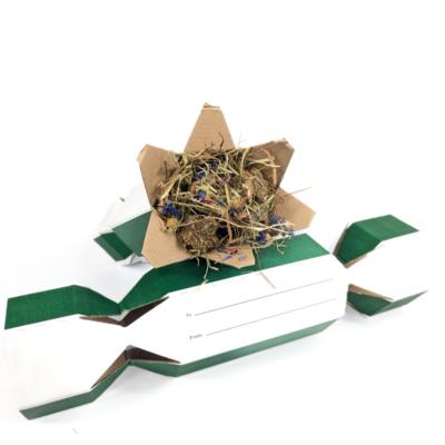 Starry Night Celebration Cracker