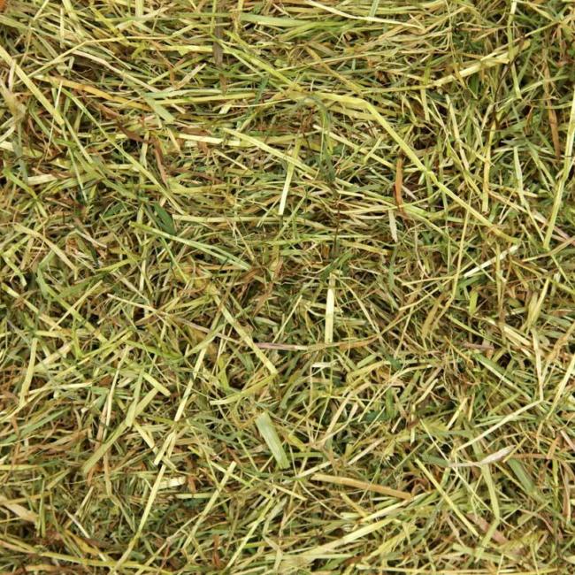 02 A meadow hay xl premium hay