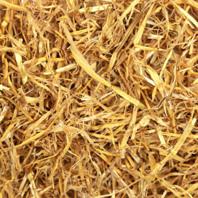 03 B straw xl premium hay