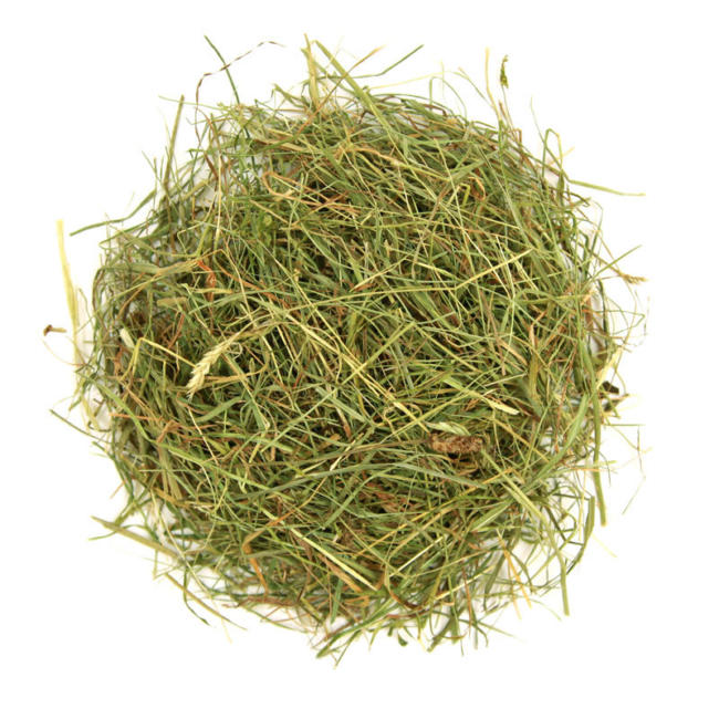 05 sweet green hay premium hay